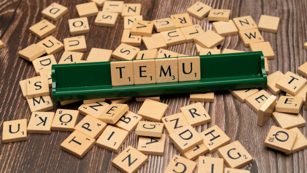 A Beginner's Guide to Sell on Temu: Step-by-Step Tutorial