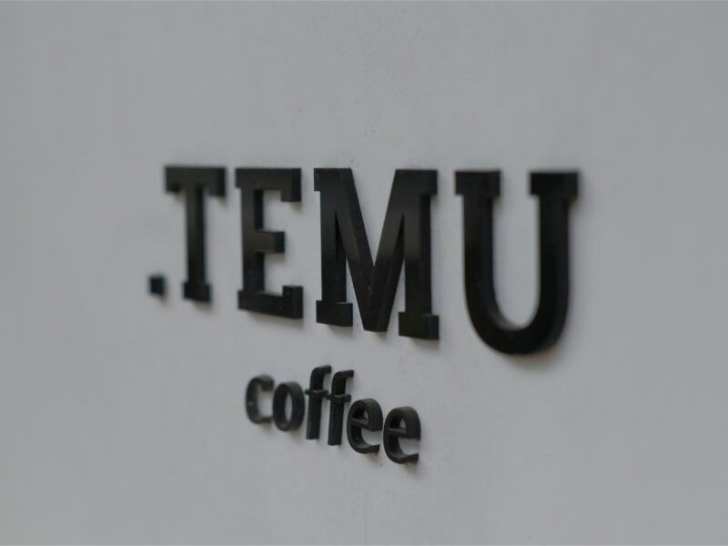 Is Temu from China? Exploring the Chinese-Based Shopping App