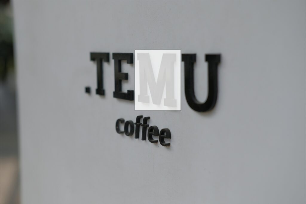 What is Temu Store: Unveiling the Origins and Marketplace Background