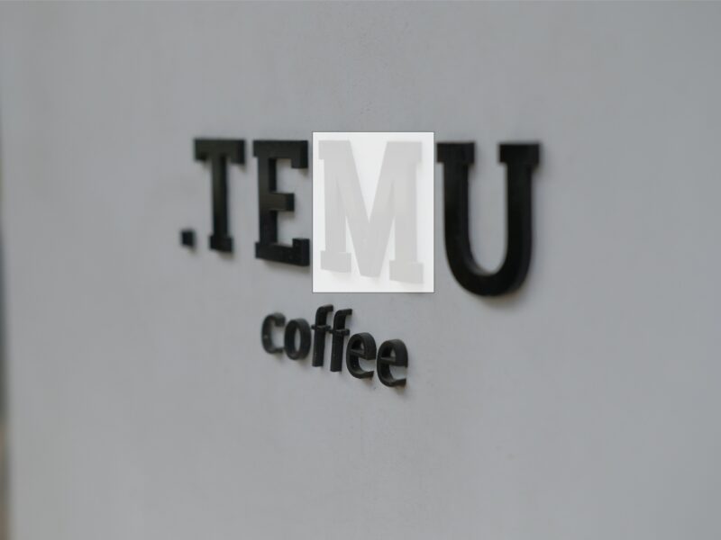 What is Temu Store: Unveiling the Origins and Marketplace Background