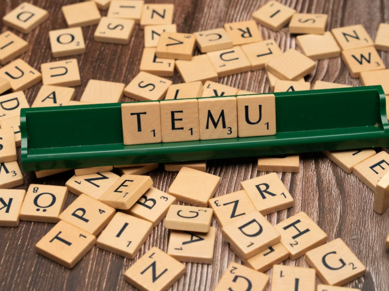 Temu: Impact on Chinese E-commerce Market | Is Temu Chinese Site?