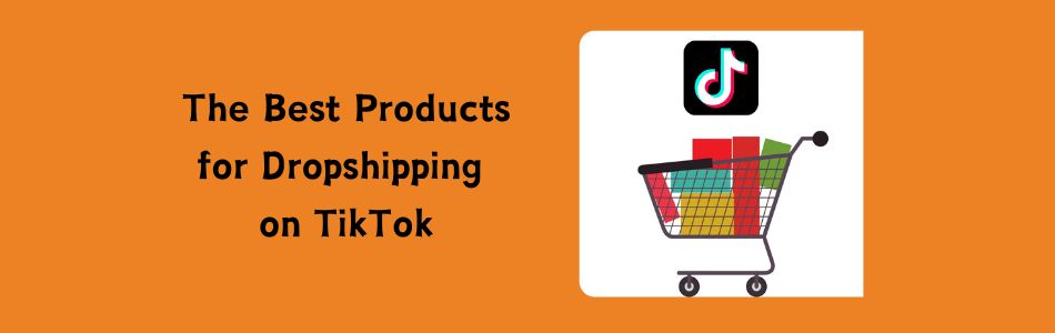 What are the Best Products for Dropshipping on TikTok?